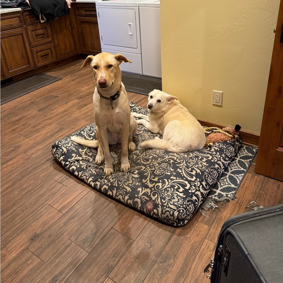 Welcome to Rebecca’s Closet!  💐 - Picture 2 of 7